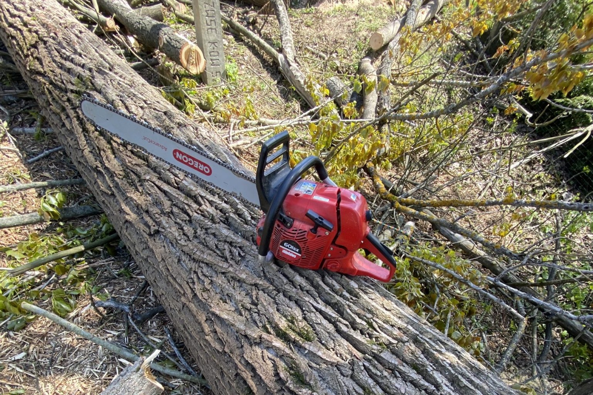 Wycinka drzew po wichurach - od czego zależy koszt szybkiej interwencji?